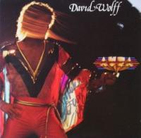 Виниловая пластинка DAVID WOLFF / AURA (1LP)